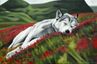 Spící vlk - akryl na plátně 60x40 cm.JPG